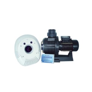 Bộ bơi ngược dòng